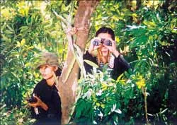 Ra mắt 2 bộ phim "Hàng xóm" và "Rặng trâm bầu" ảnh 2