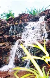 Khám phá Suối Trúc