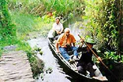 Xẻo Quýt kỳ thú