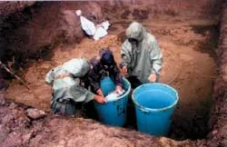 Bài 4: Nỗi oan của một “ma lai” ảnh 2