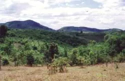 Bài 5: Bên đồi Charlie ảnh 2