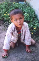 Bài 5: Bên đồi Charlie