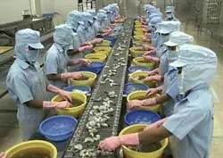 Kêu gọi bỏ phiếu chống việc DOC áp thuế tôm nhập khẩu