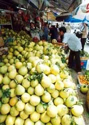 Thương hiệu cho khóm Cầu Đúc, bưởi Năm Roi, cá thác lác