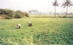 "Thả nổi" sức khỏe nông dân!