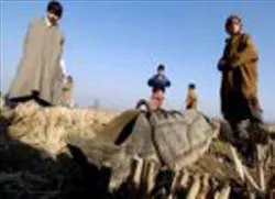 Nổ mìn tại khu vực Kashmir - 11 người thiệt mạng