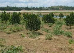 Nâng giá đất khu vực nông thôn