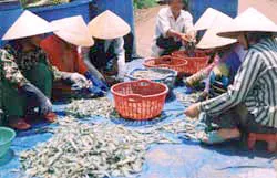 Thiếu bền vững!