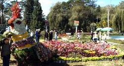 Sự kết tinh vẻ đẹp của thiên nhiên ảnh 3