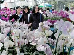 Sự kết tinh vẻ đẹp của thiên nhiên ảnh 4