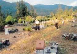 Đã… tin học hóa