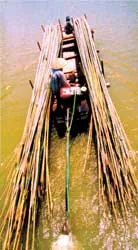 Triển lãm ảnh nghệ thuật của câu lạc bộ nhiếp ảnh kết nghĩa