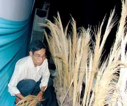 Hậu đài: những “nghệ sĩ” sau ánh đèn sân khấu ảnh 3