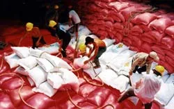 Nông sản Việt Nam tăng trưởng ấn tượng