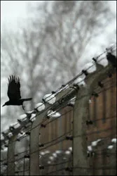 “Danh sách Schindler” đã được phát hiện như thế nào? ảnh 2