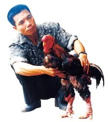 Ba đời bảo tồn gà Đông Tảo