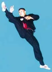 Làng võ không thể thiếu "võ gà" ảnh 2