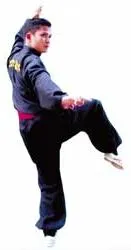 Làng võ không thể thiếu "võ gà"