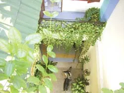 Nhà phố và căn hộ ảnh 2