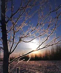 Rét đậm, rét hại là gì?