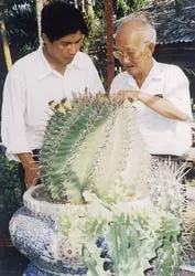 Quy tụ muôn sắc hoa