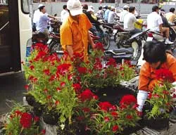 Đô thị năm Ất Dậu