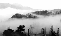 Cuộc săn ảnh... 7 ngày Tết ảnh 2