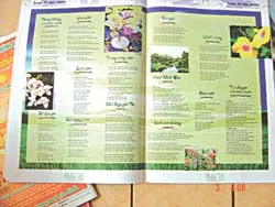 Chuyện thơ…Tết