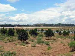 Bắt tạm giam Phạm Thị Tuyết Lan