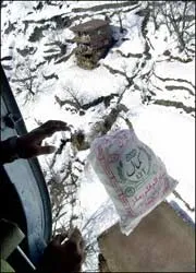 Hơn 600 người thiệt mạng