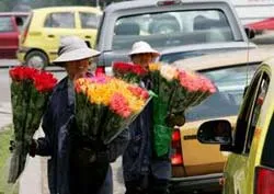 Ngày lễ tình nhân trên thế giới ảnh 3