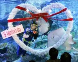 Ngày lễ tình nhân trên thế giới ảnh 6