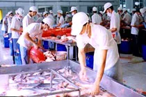 Tiếp tục mở rộng thị trường cá tra, cá ba sa