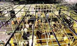 Nổ mỏ than ở Trung Quốc, cháy thánh đường ở Iran, hàng trăm người thiệt mạng