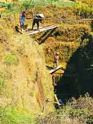 Tây nguyên kéo nước chống hạn