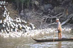 Cần cân nhắc kỹ