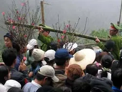 Tháng Giêng du lịch... hành hương