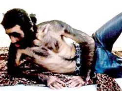 Chuyện lạ khó tin ảnh 3