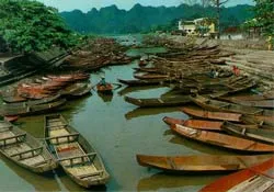 Cũng là dũng cảm