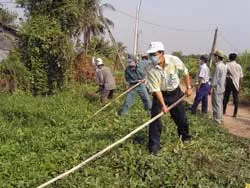 Thực hiện các biện pháp phòng chống dịch để hạ mật độ muỗi