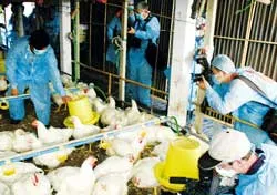 Phải có chiến lược căn cơ