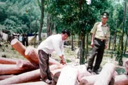 Cảnh sát điều tra đã vào cuộc