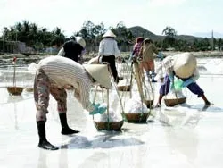 6 triệu USD cho kinh tế biển phía Nam