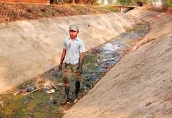 Cả vùng “khát” nước! ảnh 3