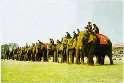 Festival Tây Nguyên 2005