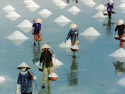 " Sẽ tiến hành trên 30 tỉnh thành để rút kinh nghiệm "