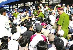 Chờ đến ... 2025 ảnh 2