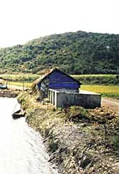 Đầm Ô Loan kêu cứu ảnh 3