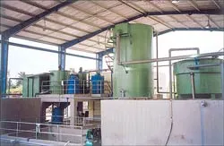 Xử lý màu nước thải từ nguồn nguyên liệu gỗ keo lai