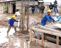 Giám định toàn bộ 52 cọc nhồi đã thi công